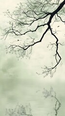 A tree branch, with branches and leaves hanging down, reflects in the water below it. 