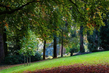 D&eacute;but automne parc