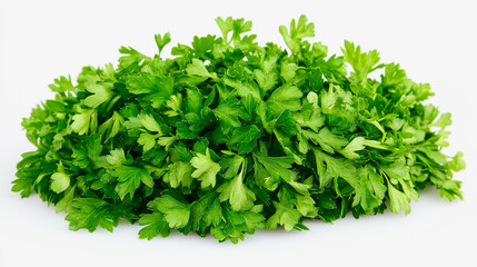 Obraz premium A bunch of fresh parsley leaves with their crisp, bright green appearance, isolated on a white background