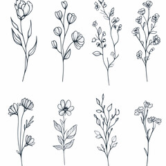 hand drawn ornamental flowers and wildflowers