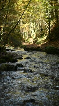Vertical shot of a mountain stream in a forest, slow motion, next to Josefsthaler Wasserf&auml;lle, Bavaria