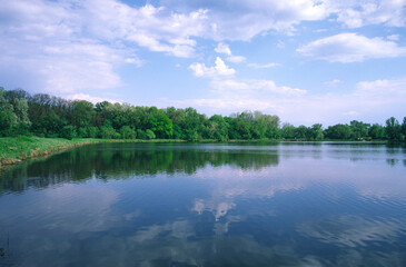 Ponds and forest in a park recreation area.