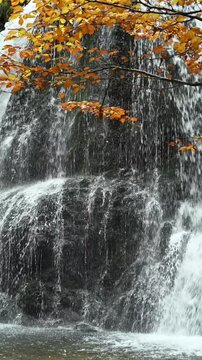 Vertical shot of a colorful autumn tree in front of a waterfall, Josefsthaler Wasserf&auml;lle, Bavaria