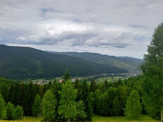 Fototapeta premium forest in the mountains