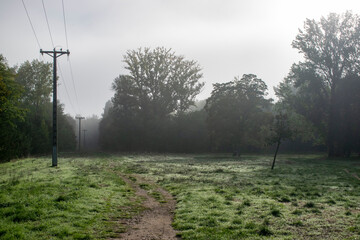 Paisaje de bosques un día con niebla y mesas de madera de Burgos, España