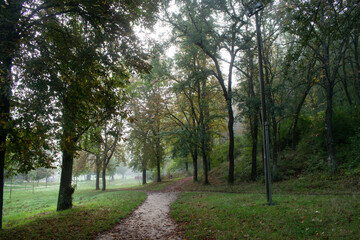 Paisaje con camino atravesando un bosque de otoño de Burgos, España