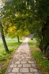 Paisaje con camino atravesando un bosque de otoño de Burgos, España