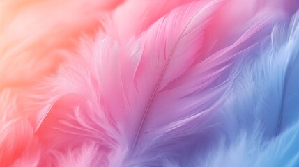 Fototapeta premium Soft Colorful Feather Background