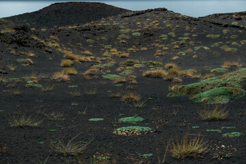 vegetation of Etna (also called Mongibello) is a complex stratovolcano of Sicily which originated in the Quaternary, and is the highest active volcano of the Eurasian plate