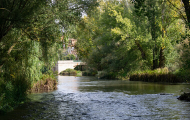 Río Arlanza atravesando un bosque junto a Pampliega, Burgos (España)