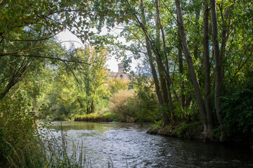 Río Arlanza atravesando un bosque junto a Pampliega, Burgos (España)