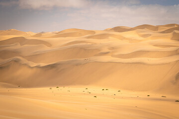 Sandwich Harbour in Namibia - eine Landschaft zwischen riesigen Dünen, Wüste und dem Atlantik