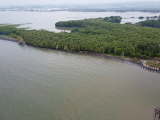 The coastal area of ​​SEMARANG CITY has the potential for beautiful mangrove forest tourism and at the same time prevents sea water abrasion.