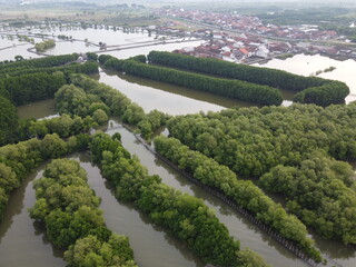 The coastal area of ​​SEMARANG CITY has the potential for beautiful mangrove forest tourism and...