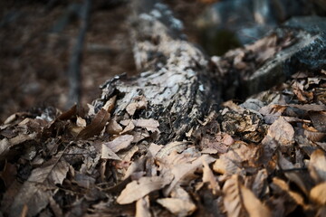 A beautiful trip to Korea