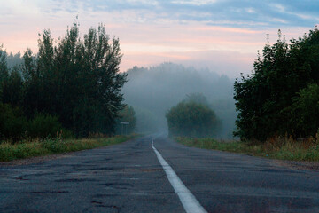 fog on the road in the woods at dawn