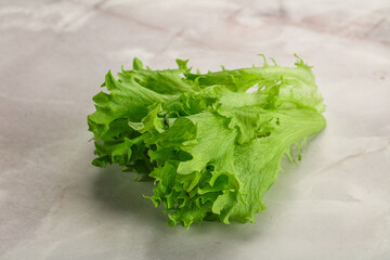 Juicy fresh green frilis salad