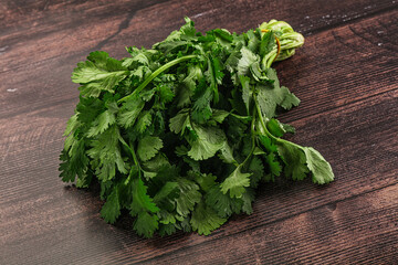 Fresh green cilantro branches heap