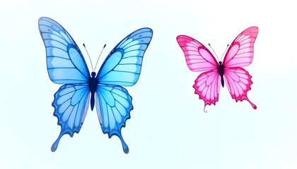 Fototapeta premium blue butterfly with large wings and a pink butterfly