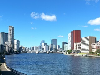 Fototapeta premium city skyline with river