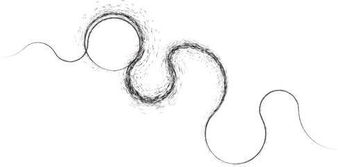 Curved Dry Brush Stroke . Chinese calligraphy . Japanese style . Snake logo. Asian design elements . Looped brush line . Vector