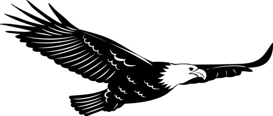 eagle, hawk soaring silhouettes, vector