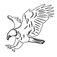 eagle grabs prey, outline sketch, vector