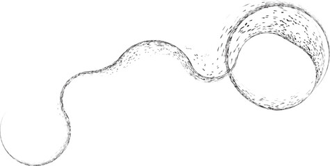 Curved Dry Brush Stroke . Chinese calligraphy . Japanese style . Snake logo. Asian design elements . Looped brush line . Vector