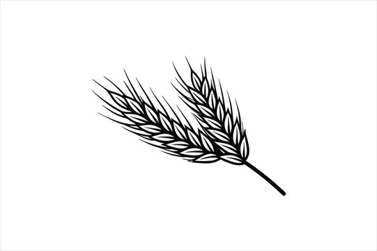 Wheet vector art and illustration