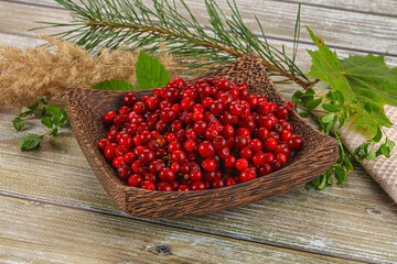 Natural organic wild forwst lingonberry