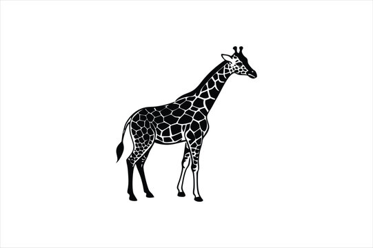 Cute Giraf vector art illustration