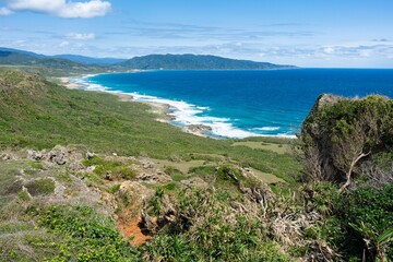 Scenic coastal landscape with lush greenery and vibrant blue ocean under a clear sky