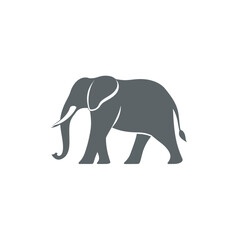 Fototapeta premium Elephant Logo Template