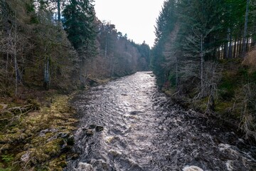 Serene river in a lush forest landscape