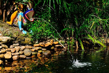 Frog for every pond. Circulate that stagnant water for a healthy ecosystem.