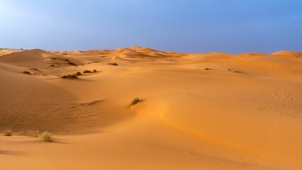 Vast desert landscape with rolling sand dunes