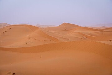 Vast Desert Sand Dunes