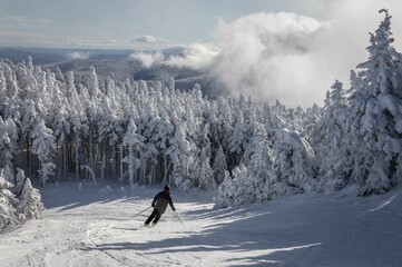 Skier descends a snowy slope surrounded by frosted trees. Green Mountains of Vermont