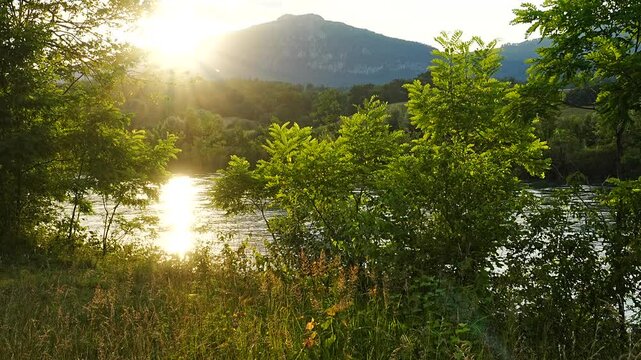 Tranquil lake surrounded by dense vegetation at sunset, with a mountain in the background