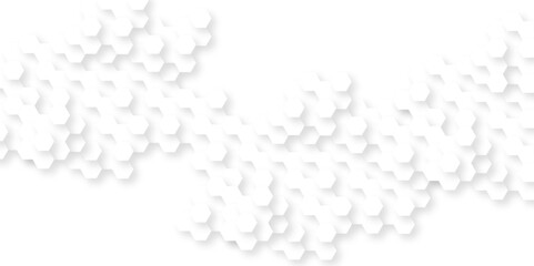 Abstract background with hexagon, modern abstract vector polygonal pattern. Futuristic abstract honeycomb technology white background. Luxury white hexagon pattern.