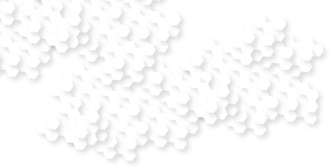 Abstract background with hexagon, modern abstract vector polygonal pattern. Futuristic abstract honeycomb technology white background. Luxury white hexagon pattern.