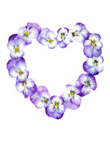 Obraz premium Pansy flower heart shape wreath on white. Romantic symbol for logo, greeting card. Edible flowers for food decoration and herbal medicine. Gardeners Path variety.
