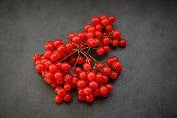 Red viburnum berries on a dark background.