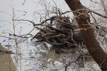 spring melt runoff waters flood river banks
