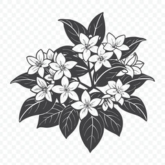 Elegant Floral Bunch with Jasmine Silhouette Vector Illustration for Decorative and Design Elements