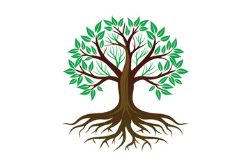 Tree Roots vector illustration, Tree Roots vector 