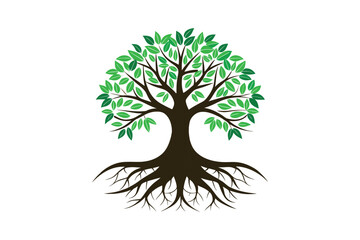 Tree Roots vector illustration, Tree Roots vector 