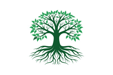 Tree Roots vector illustration, Tree Roots vector 