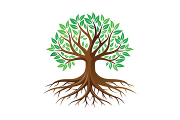 Naklejka premium Tree Roots vector illustration, Tree Roots vector 
