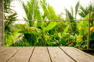 Naklejka premium Wooden Deck with Tropical Plants and Blurred Background.